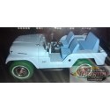 Elvis Presley - Jeep CJ-5 - Sierra Blue Green Machine