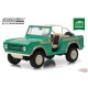 1/18 1976 Ford Baja Bronco  Greenlight 19034 ( Gas monkey ) Passion Diecast