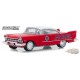 Running on Empty Series 9   Assortment  1-64 greenlight 41090  Passion Diecast