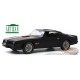 1977 Pontiac Firebird "Fire Am" in Black with Hood Bird - Very Special Equipment (VSE) - Greenlight 1/18 - 19080  -  Diecast 