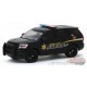 2017 Ford Police Interceptor Utility - Adams County, Washington Sheriff's Office - Greenlight 1/64 - 30142 -  Passion Diecast 