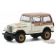 1979 Jeep CJ-7 Golden Eagle "Dixie" -  Duke of Hazzard   (Hobby Exclusive) 1/64 Greenlight 30175 -  Passion Diecast 