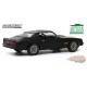 1977 Pontiac Firebird "Fire Am" in Black with Hood Bird - Very Special Equipment (VSE) - Greenlight 1/18 - 19080  -  Diecast 