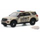 2020 Ford Police Interceptor - Boone County Sheriff’s -  Anniversary Collection 11 - 1,64 greenlight - 28040 E - Passion Diecast