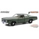 1977 Dodge Monaco  Hunter  TV Series -  Greenlight 1/24 , 84123 -  Passion Diecast 