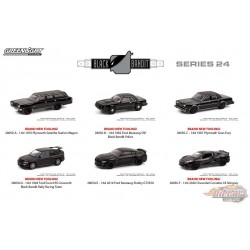 Black Bandit Series 24  Assortment  1-64 greenlight 28050 - Passion Diecast