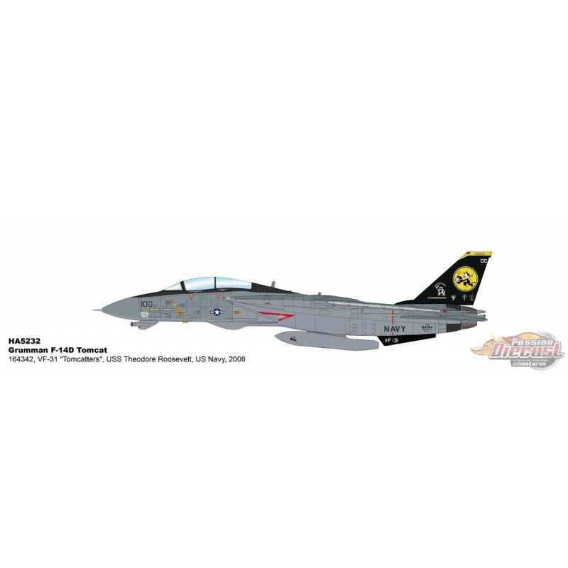 Grumman F-14D Tomcat / USN VF-31 Tomcatters, USS Theodore Roosevelt, Final  2006 - Hobby Master 1/