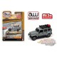2018 Jeep Wrangler Rubicon Grey with Roof Rack   - Auto World 1:64 Premium - CP7717 -  Passion Diecast 