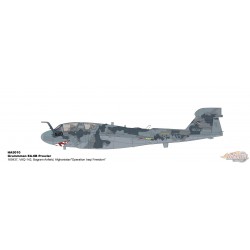Grumman EA-6B Prowler / USN VAQ-142, Bagram Airfield, Afghanistan, Op. Iraqi Freedom 2007 - Hobby Master 1/72  HA5010 - Passion 