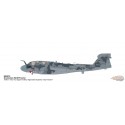 (Free shipping) Grumman EA-6B Prowler / USN VAQ-142, Bagram Airfield, Afghanistan, Op. Iraqi Freedom 2007 - HM 1/72  HA5010