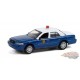 Anniversary Collection Series 12 Assortiment  1-64 greenlight 28060 - Passion Diecast