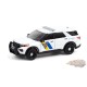 Anniversary Collection Series 12 Assortiment  1-64 greenlight 28060 - Passion Diecast