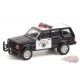 Hot Pursuit Series 38 - Assortiment  1-64 Greenlight 42960 -  Passion Diecast