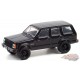 Black Bandit Series 25  Assortment - 1/64 Greenlight - 28070