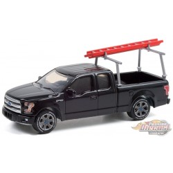 2017 Ford F-150 with Ladder Rack - Blue Collar Collection 9 - Greenlight 1/64 -  35200 F