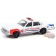 Hot Pursuit Series 39 - Assortment - 1/64 Greenlight - 42970