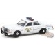 Hot Pursuit Series 39 - Assortment - 1/64 Greenlight - 42970