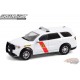 2018 Dodge Durango - Service d'incendie de forêt de l'État du New Jersey - Hobby Exclusive - 1/64 Greenlight -30267