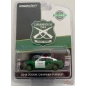 Carabineros De Chile (Chilean Police) - 2018 Dodge Charger Pursuit - GREENMACHINE 1/64 Exclusive - 30162GR