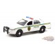 Hollywood Série 32 Assortment - 1/64 Geenlight - 44920 - Passion Diecast