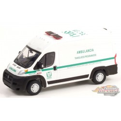 2018 Ram ProMaster - Ensenada, Mexico Ambulancia - Route Runners Series 4 Greenlight 1/64 - 53040 C - Passion Diecast