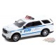Hot Pursuit Series 40 - Assortment - 1/64 Greenlight - 42980