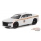 Absaroka County Sheriff's Department - 2015 Dodge Charger Pursuit - Hobby Exclusive - 1/64 Greenlight - 30335  Passion Diecast