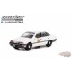 Hot Pursuit Series 41 - Assortiment - 1/64 Greenlight - 42990 - Passion Diecast