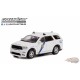 Hot Pursuit Series 41 - Assortiment - 1/64 Greenlight - 42990 - Passion Diecast