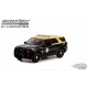 Hot Pursuit Series 41 - Assortiment - 1/64 Greenlight - 42990 - Passion Diecast