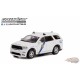 Philadelphia, Pennsylvania Police - 2019 Dodge Durango - Hot Pursuit Series 41 - 1/64 Greenlight - 42990 E Passion Diecast 