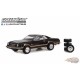 The Hobby Shop Series 13 - Assortiment - 1/64 Greenlight - 97130 - Passion Diecast