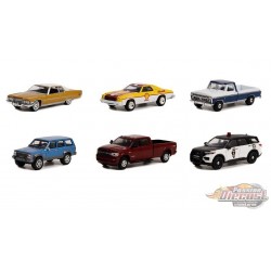 Anniversary Collection Series 14 - Assortiment - 1/64 Greenlight - 28100 - Passion Diecast