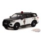 2022 Ford Police Interceptor Utility - Anniversary Collection Series 14 - 1/64 Greenlight - 28100 F Passion Diecast 