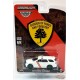 CHASE CAR 2018 Dodge Durango - Service d'incendie de forêt du New Jersey - Hobby Exclusive - 1/64 Greenlight -30267GR
