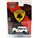CHASE CAR 2018 Dodge Durango - Service d'incendie de forêt du New Jersey - Hobby Exclusive - 1/64 Greenlight -30267GR