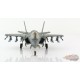 Lockheed F-35A Lightning II / RAAF No.3 Sqn, No.A35-028, Exercise ''Arnhem Thunder'' 2021 / Hobby Master 1:72 HA4427