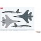 Shenyang J-11B Flanker-L / PLAAF, no.62078, Chebarkul, Russia, Exercise SCO Peace Mission 2018 / Hobby Master 1:72 HA6014