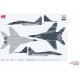 Mikoyan MiG-29G Fulcrum / Polish Air Force 41st TFS, Siauliai AB Lithuania, Baltic Air Policy 2012 / Hobby Master 1:72 HA6516