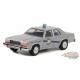 Hollywood Series 36 - Assortment - 1/64 Greenlight - 44960 - Passion Diecast