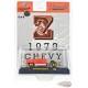 CHASE CAR 1973 Chevrolet Cheyenne 10 Bed Less (Z) - Riverside Show Exclusives - M2 Machine - 1:64 - 31500-RZ02-ZGR