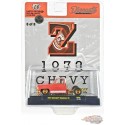 CHASE CAR 1973 Chevrolet Cheyenne 10 Bed Less (Z) - Riverside Show Exclusives - M2 Machine - 1:64 - 31500-RZ02-ZGR