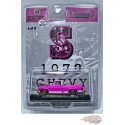 CHASE CAR 1973 Chevrolet Cheyenne 10 (S) - Riverside Show Exclusives - M2 Machine - 1:64 - 31500-RZ02-SGR