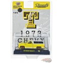 CHASE CAR 1973 Chevrolet Cheyenne 10 With Camper Shell (T) - Riverside Show Exclusives - M2 Machine - 1:64 - 31500-RZ02-TGR