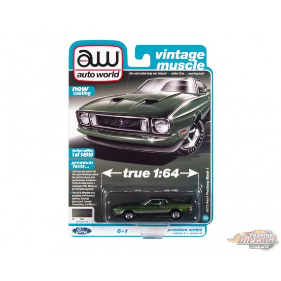 1973 Ford Mustang Mach 1 - Auto World 1/64 - AWSP099 B -  Passion Diecast 