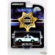 GreenMachine 1982 Ford LTD-S - County Sheriff  Hobby Exclusive - 1/64 Greenlight - 30304GR