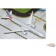 Boeing 777-300ER / American Airlines N736AT / Gemini 1:400 GJAAL2069