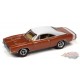 Muscle Cars 2022 Release 2B - Assortiment - Johnny Lightning - 1:64 - JLMC030 B - Passion Diecast