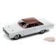 Muscle Cars 2022 Release 2A - Assortment - Johnny Lightning - 1:64 - JLMC030 A - Passion Diecast 