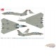 Grumman F-14A Tomcat / USN VF-41 Black Aces, AJ101, USS Theodore Roosevelt, Op. Desert Storm 1991 / Hobby Master 1:72 HA5230